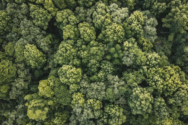 Quels sont les bienfaits des bracelets naturels ?