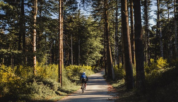 Que faire à Tenerife ?