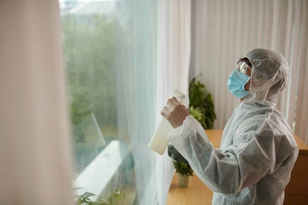 Luttez contre les nuisibles avec dératisation nancy